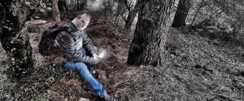 La forêt en trompe&nbsp;l&rsquo;oeil