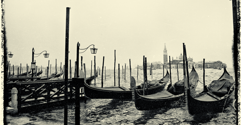 Le Chinchilla de&nbsp;Venise