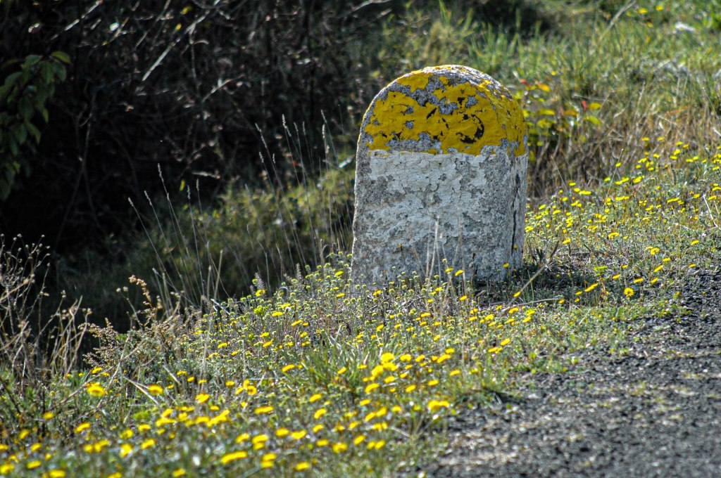 Gardiens de la&nbsp;route