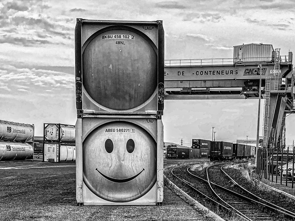 Qui a-t-il à l’intérieur d’une noix&nbsp;?