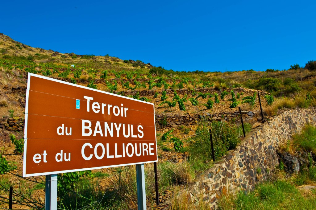 Cent ans de vin, le bel&nbsp;âge