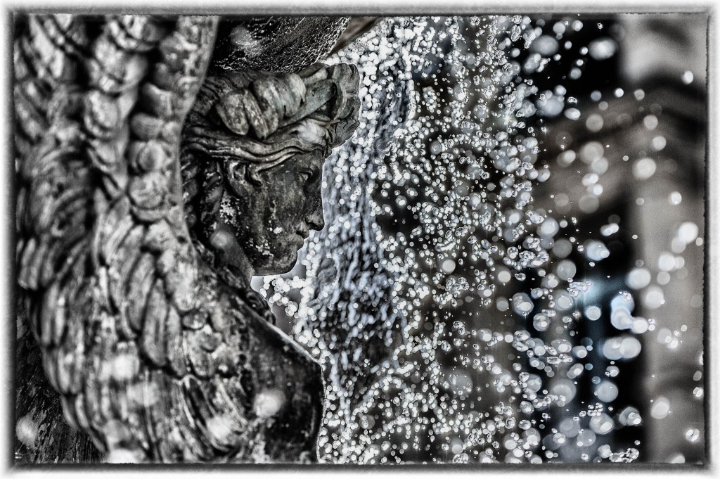 Elles font le&nbsp;Job