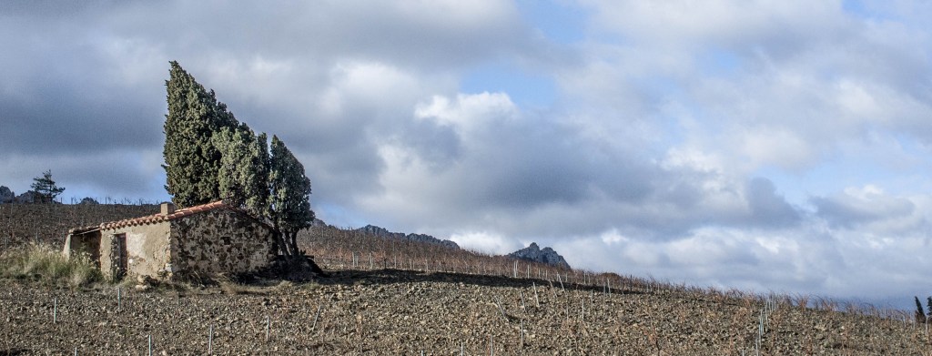 La petite maison dans les&nbsp;vignes