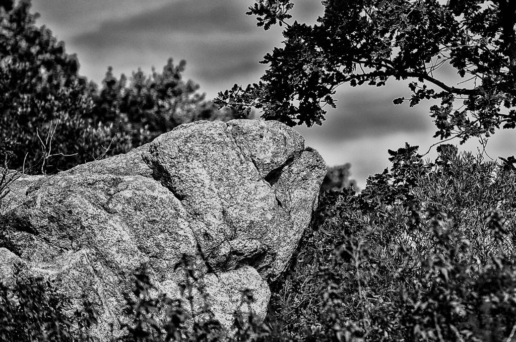 Les aléas de&nbsp;l’errance